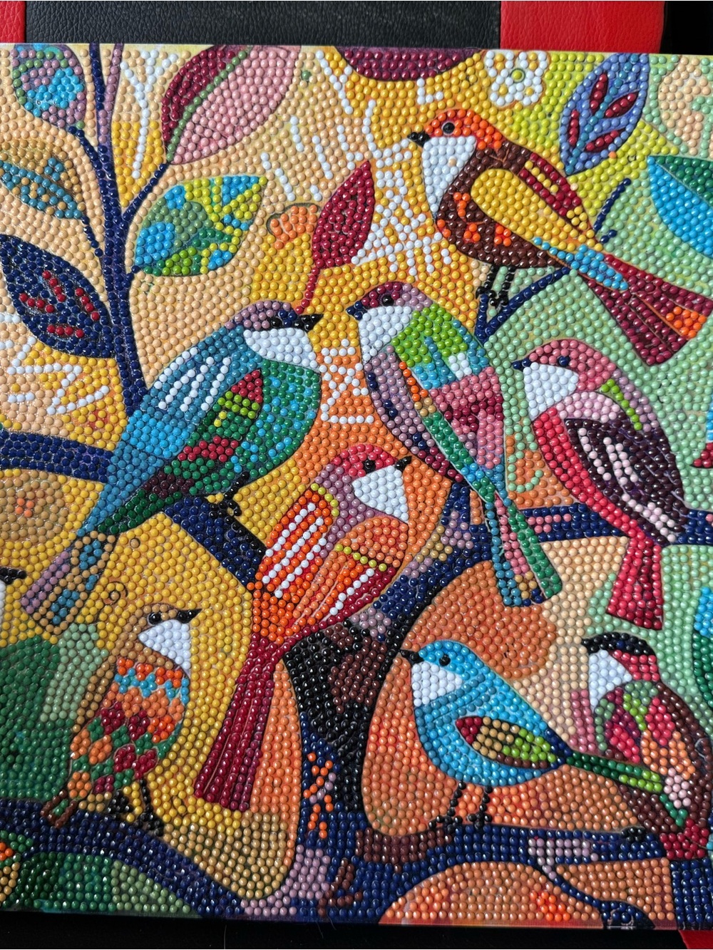 12x16in Birds Diamond Art framed canvas completed